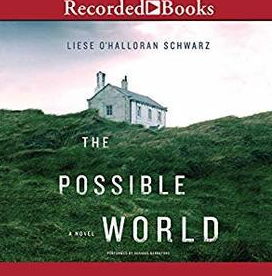 The Possible World