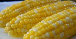Sweet Corn